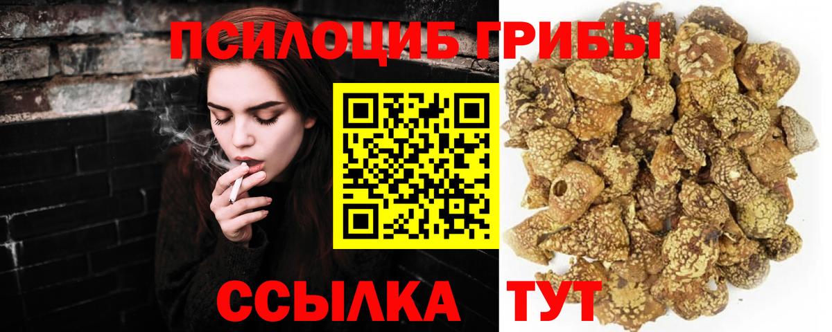 Краснотурьинск  Галлюциногенные грибы Cubensis  Вход с VPN 
